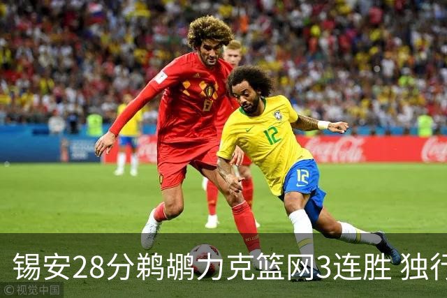 锡安28分鹈鹕力克篮网3连胜 独行侠险胜马刺