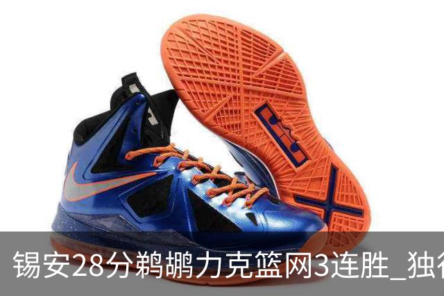 锡安28分鹈鹕力克篮网3连胜 独行侠险胜马刺